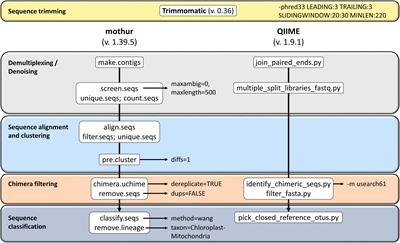 Comparison of Mothur and QIIME for the Analysis of Rumen Microbiota Composition Based on 16S rRNA Amplicon Sequences